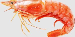 Jumbo Tiger Prawns Seafood