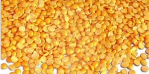 Premium Polished Toor Dal