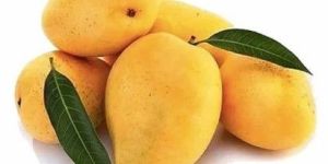 Sweet Bulk Mango
