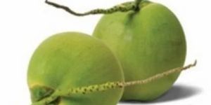 Tender Green Coconut