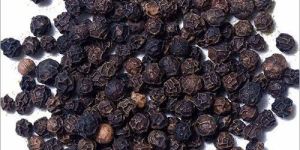 Black Pepper Seeds