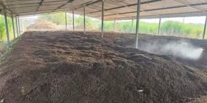 Vermicompost Fertilizer