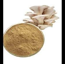 Dry Oyster Mushroom Powder