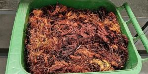 armature copper wire scrap