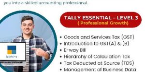 level 3 tally training services