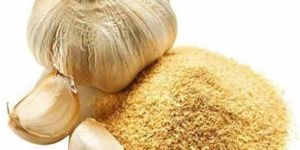 Dehydrated Garlic Powder