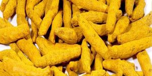 Dry Turmeric Finger