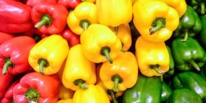 Fresh Bell Peppers