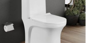 Luxury Bathroom One Piece Closet