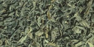 Green Tea Leaves