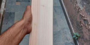 English Willow Cricket Bats