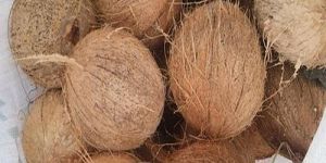 Fully Husked Coconut