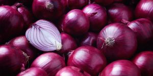 Organic Fresh Red Onion