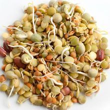 Dry Sprouted Moong