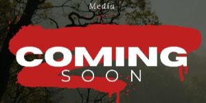 Social Media Advertising