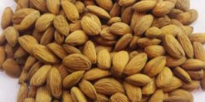 Almond