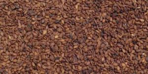 Brown Sesame Seeds