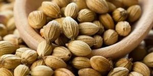 Coriander Seeds