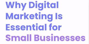 Local Marketing Services