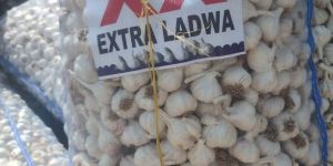 A Quality Garlic