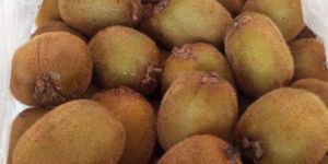 Fresh Kiwi