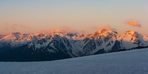 Digital marketing service agency