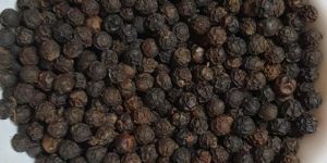 Black Pepper