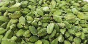 Green Cardamom