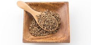 Coriander Seeds