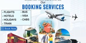 Domestic Tour Service