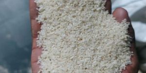 White Raw Broken Rice