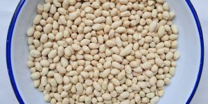 Roasted Blanched Peanuts