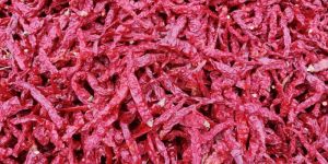 Byadgi Chilli