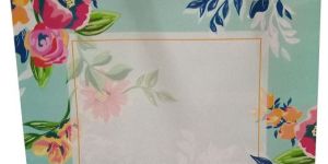 Non Woven Gift Bags
