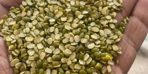 Moong Dal