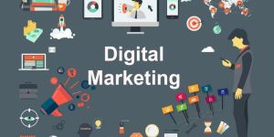 Digital Marketing Services