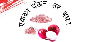 Khandeshi Onion Powder