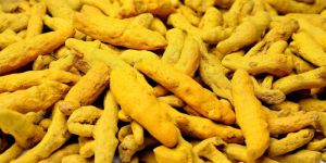 Yellow Turmeric Finger