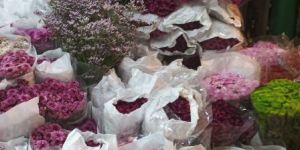 Flower Delivery Service