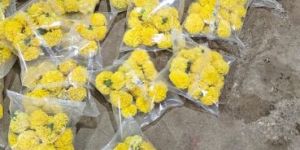 Marigold Flowers