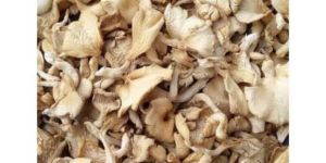Premium Grade Dried Oyster Mushroom
