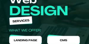 Website Design and Development