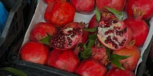 Fresh Pomegranate