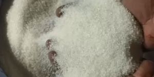 Khandsari Sugar
