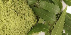 Dry Neem Leaf Powder