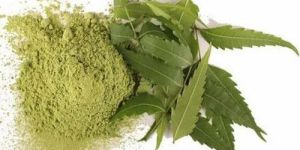 Neem Leaf Powder