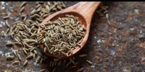 Cumin Seeds