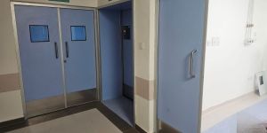 Clean Room Hinged Doors