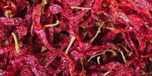 Dry Red Chilli
