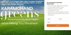 Landing Page Optimization Service